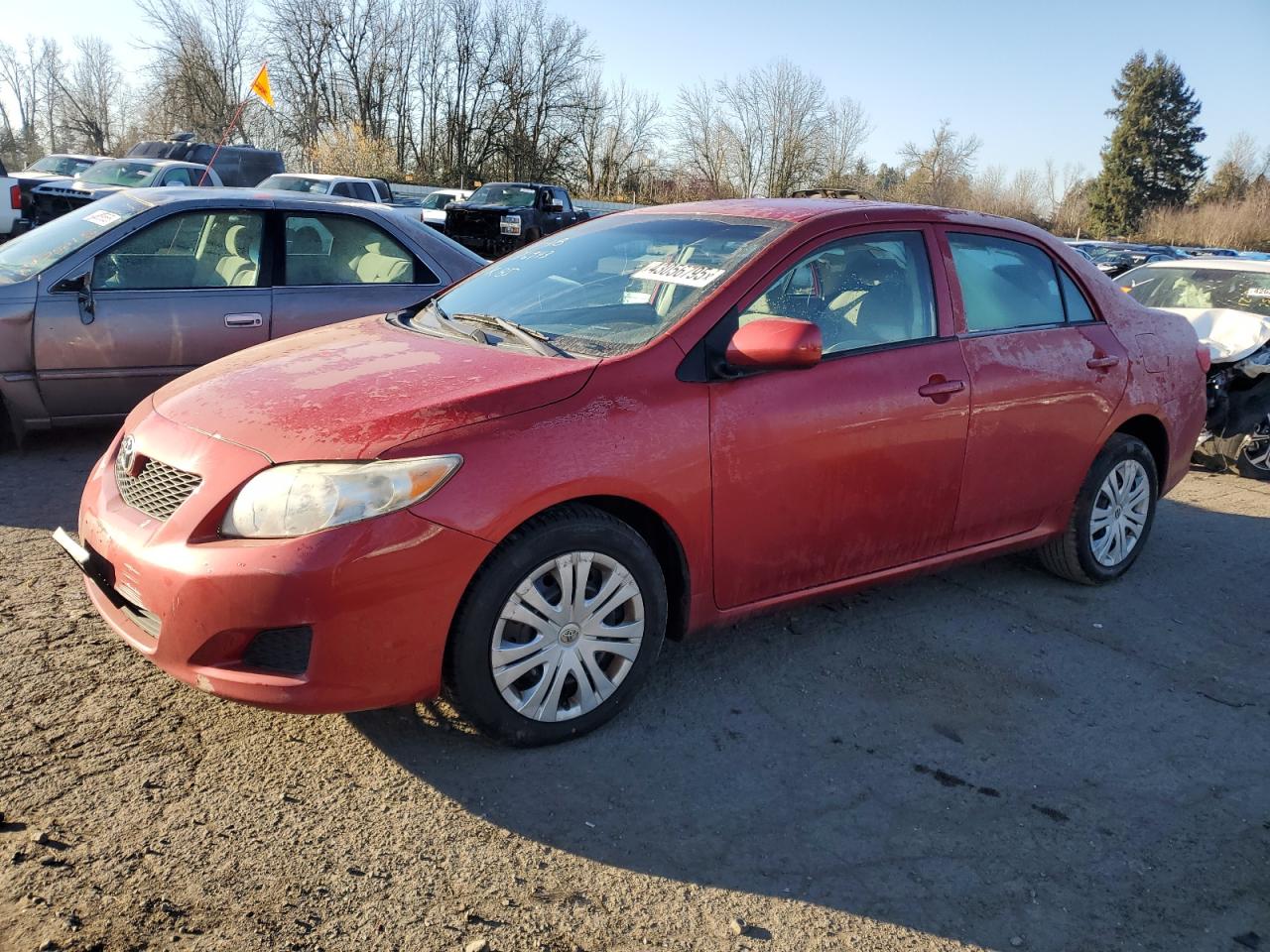 TOYOTA COROLLA BASE