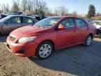 Top Destinations for Shipping Cars from the USA