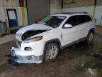 2015 JEEP CHEROKEE L - 1C4PJMCS0FW565242
