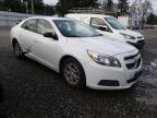 Lot #3052726720 2013 CHEVROLET MALIBU LS