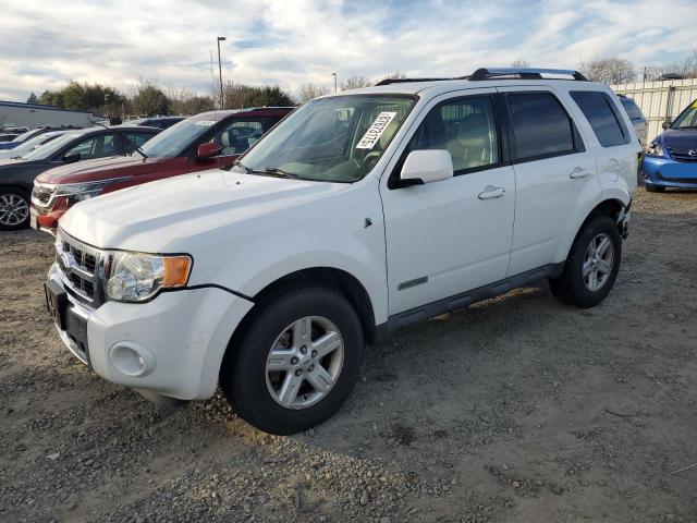 FORD ESCAPE HEV 2008 white  hybrid engine 1FMCU59H98KE63290 photo #1