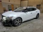 2017 NISSAN MAXIMA 3.5 - 1N4AA6AP5HC415721