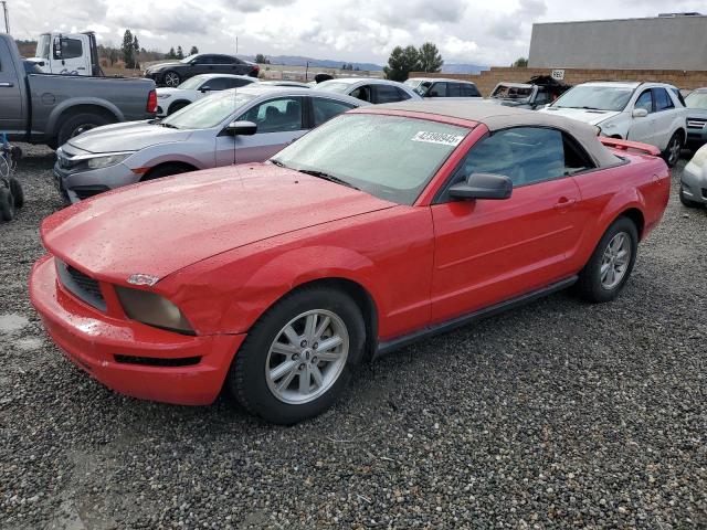 FORD MUSTANG 2006 red  gas 1ZVFT84N965202625 photo #1