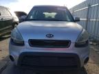 KIA SOUL + photo