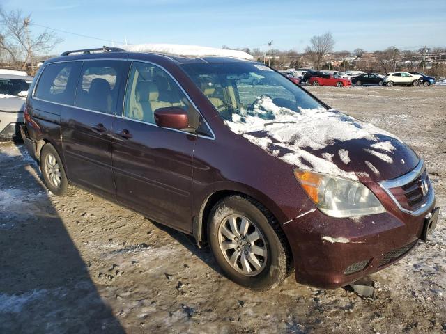 Vin: 5fnrl3h6xab058547, lot: 87692995, honda all models exl 20104