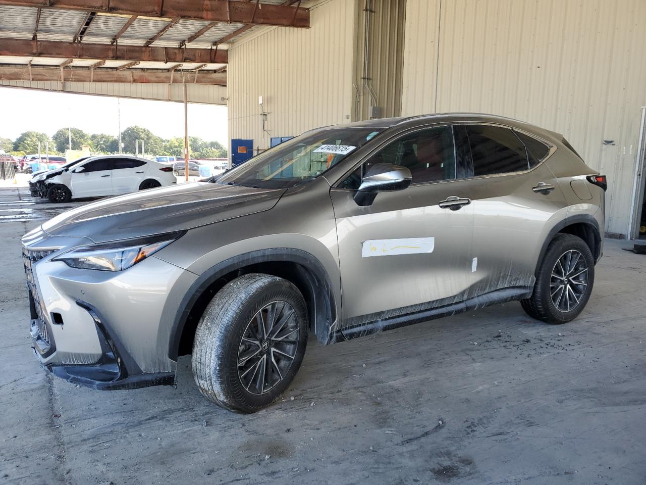 Lot #3048372733 2024 LEXUS NX 250 PRE