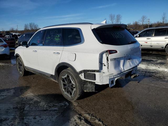 2023 KIA TELLURIDE - 5XYP64GC3PG395719