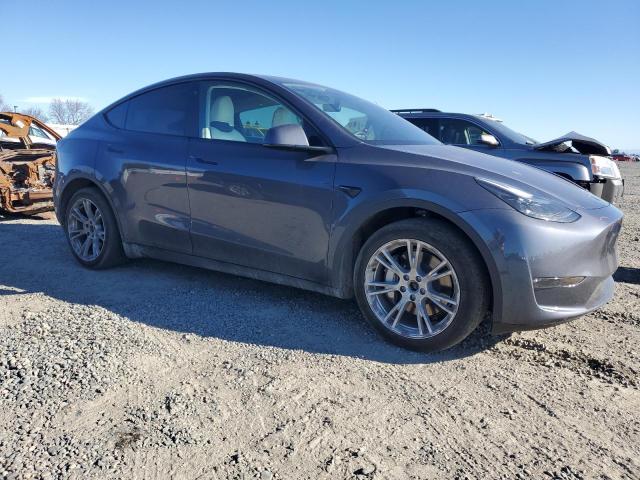 2023 TESLA MODEL Y - 7SAYGDEE1PF634586