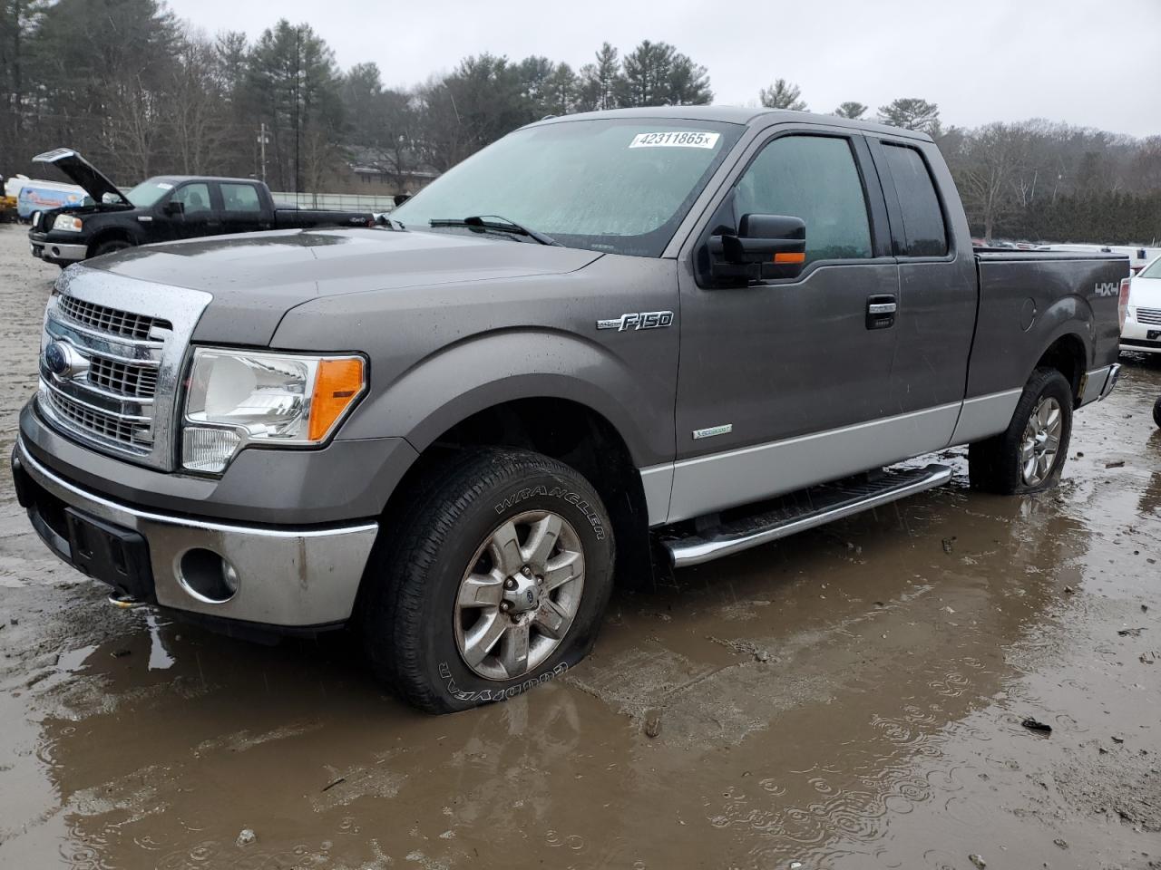  Salvage Ford F-150