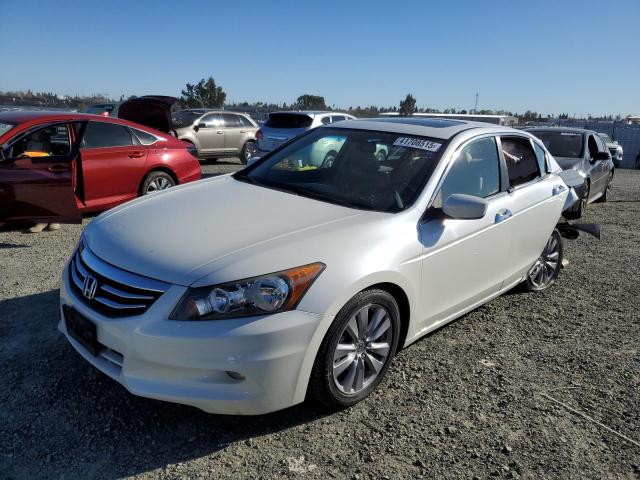 HONDA ACCORD EXL
