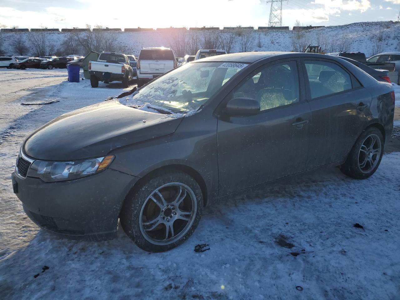 KIA FORTE EX