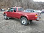 Lot #3048266741 2004 TOYOTA TACOMA XTR