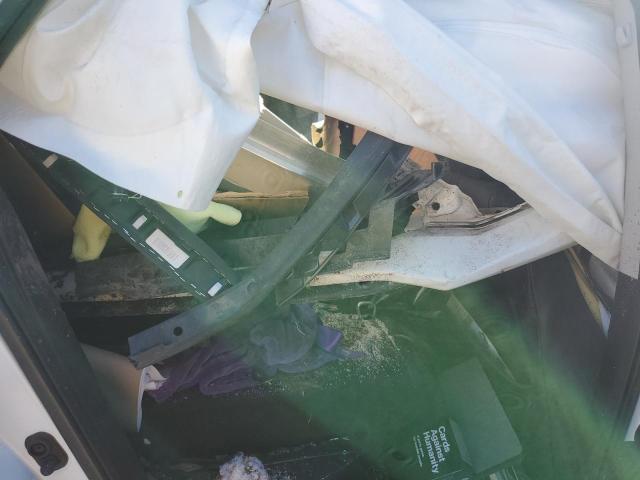 2020 HONDA CIVIC EXL 19XFC1F79LE218493