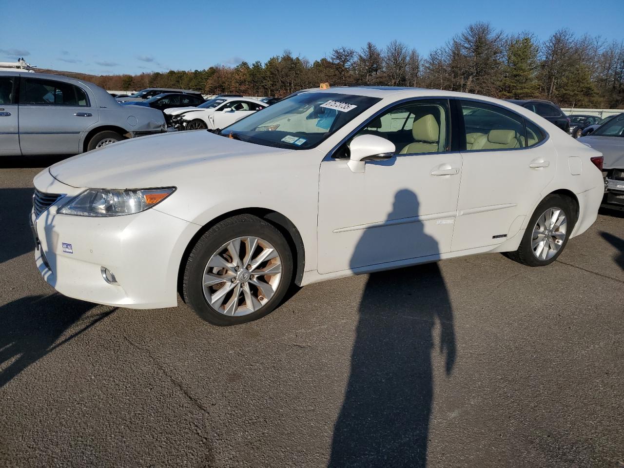 LEXUS ES 300H