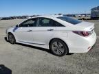 Lot #3055609534 2013 HYUNDAI SONATA HYB