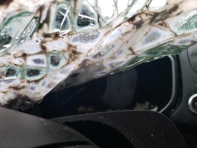 2019 FORD FUSION TIT - 3FA6P0D98KR207632