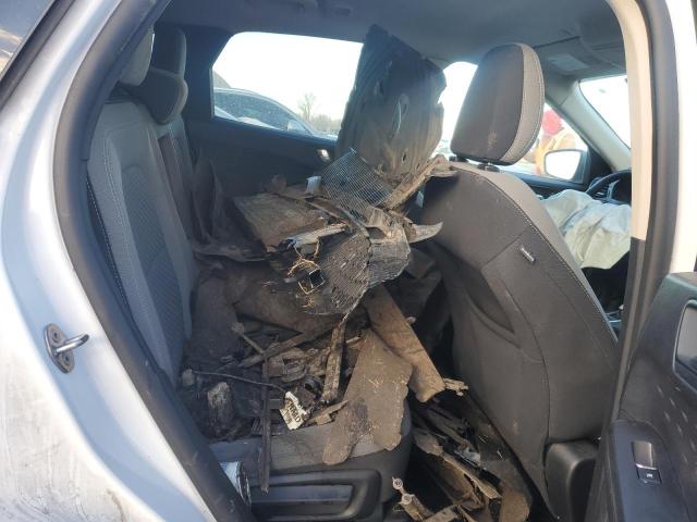 2020 FORD ESCAPE SE - 1FMCU9BZ0LUB10007