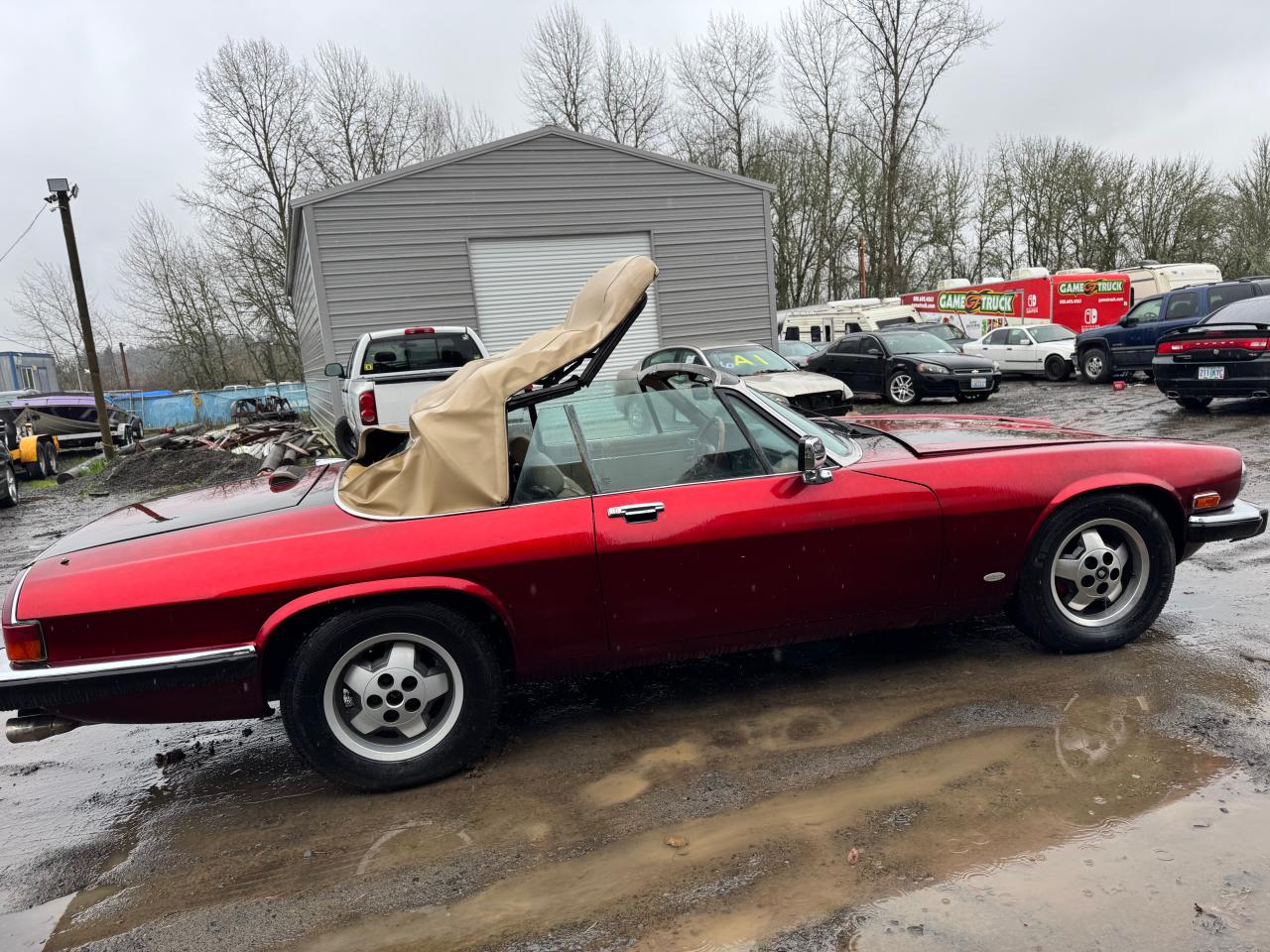 Lot #3045767645 1988 JAGUAR XJS