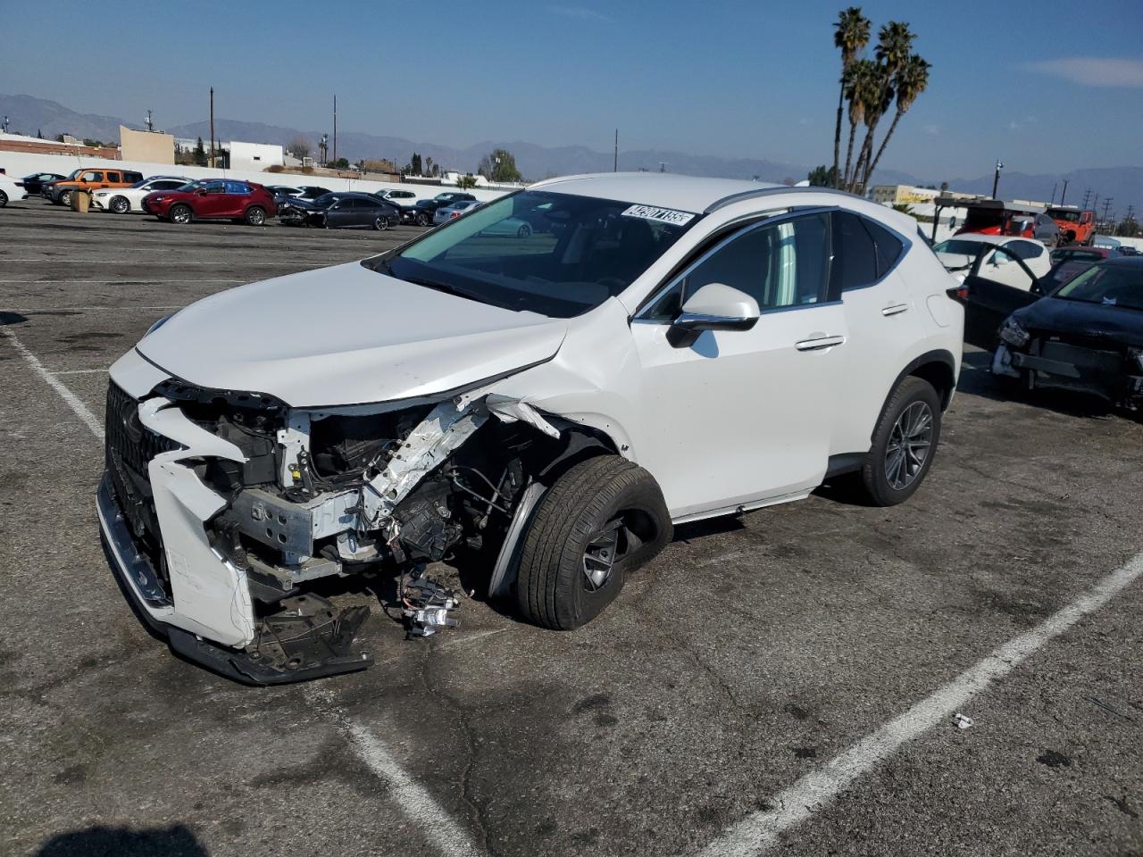 2T2AKCEZ0RC028435 LEXUS NX 350H BA 2024