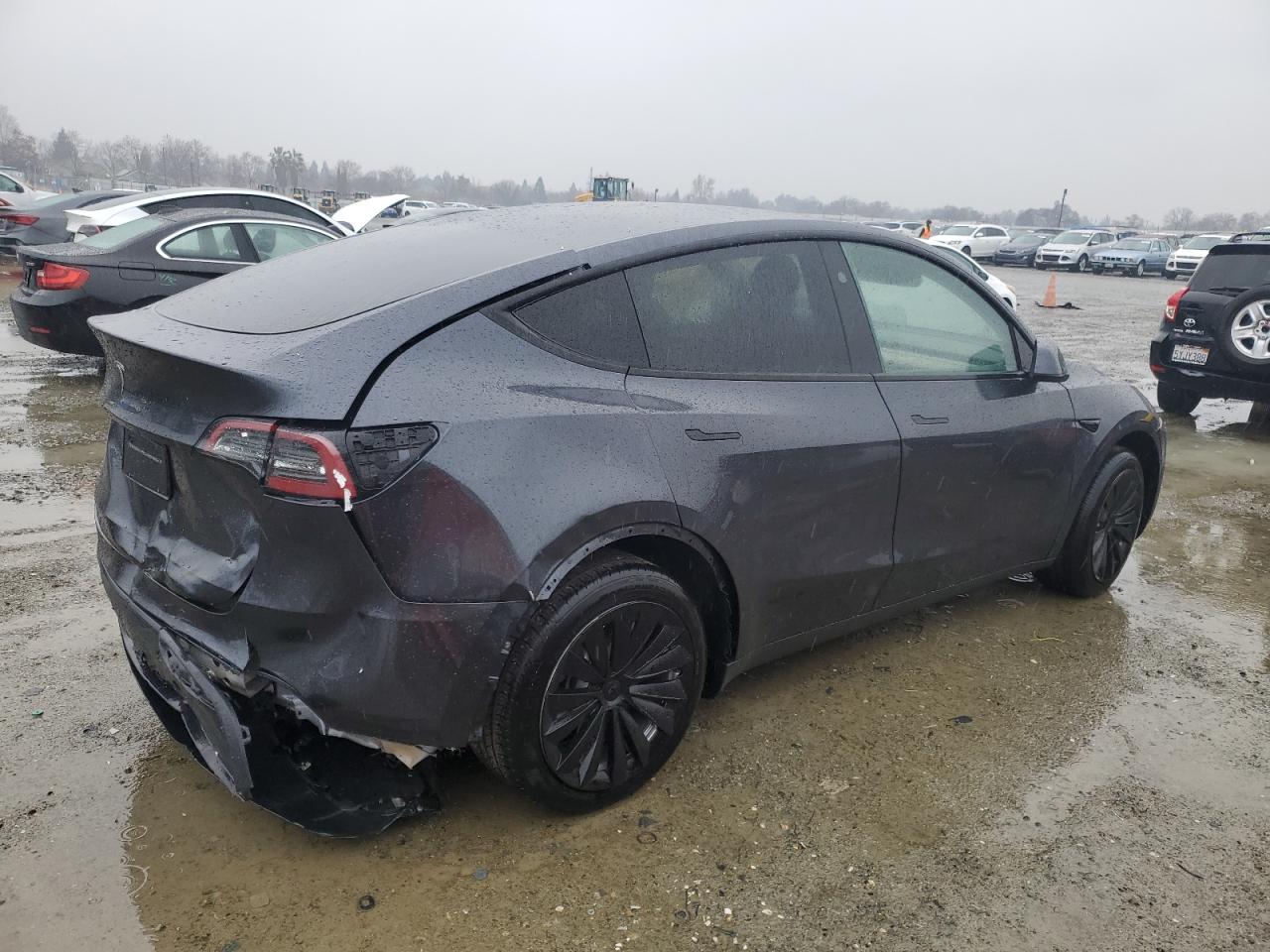 Lot #3048374726 2024 TESLA MODEL Y