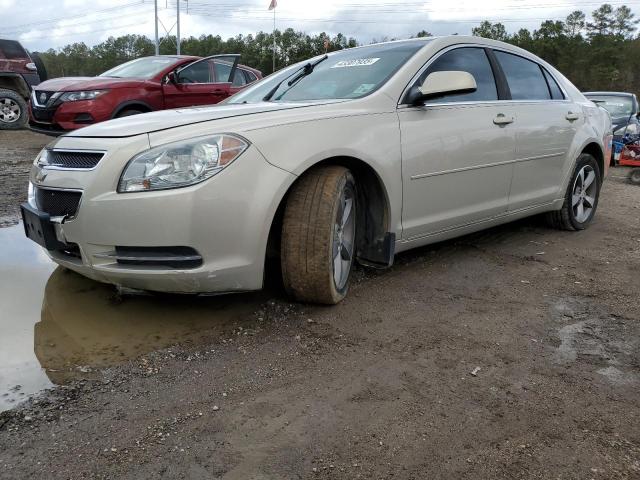 CHEVROLET MALIBU 1LT 2011 tan sedan 4d gas 1G1ZC5E17BF173147 photo #1