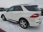 MERCEDES-BENZ ML 350 photo