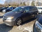 2016 HONDA ODYSSEY SE - 5FNRL5H31GB043364