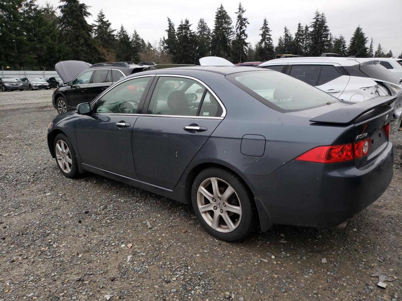 Lot #3055351341 2004 ACURA TSX