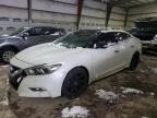 2017 NISSAN MAXIMA 3.5 - 1N4AA6AP6HC394524