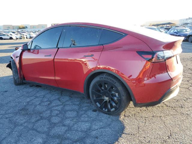 2023 TESLA MODEL Y - 7SAYGAEE7PF667722