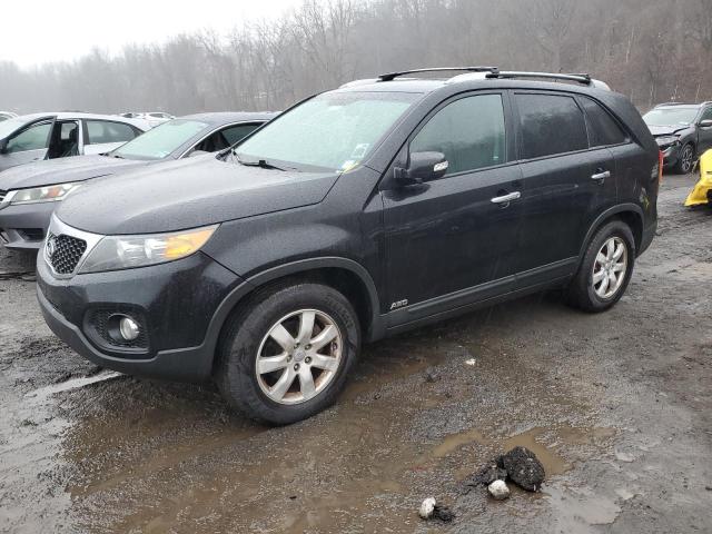 Vin: 5xyktca6xdg335500, lot: 43285315, kia sorento lx 2013 img_1