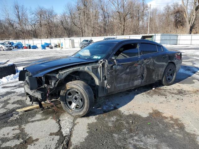 2013 DODGE CHARGER PO - 2C3CDXAT9DH721216