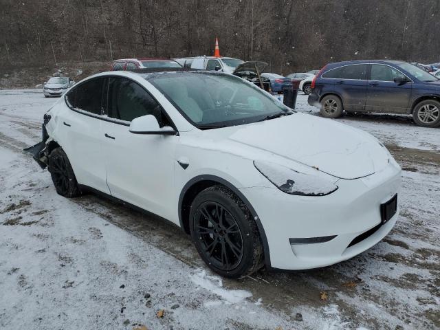 2023 TESLA MODEL Y 7SAYGDEE6PF878864