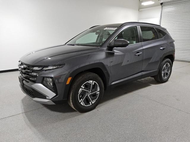 2025 HYUNDAI TUCSON BLU KM8JBDD13SU259825