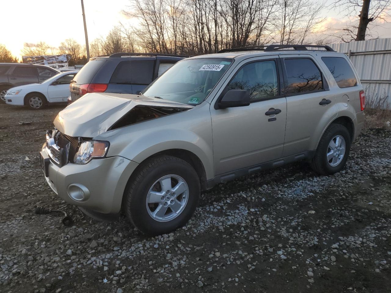  Salvage Ford Escape