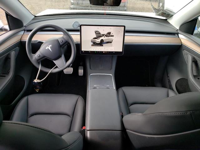 2023 TESLA MODEL Y - 7SAYGDEFXPF855628