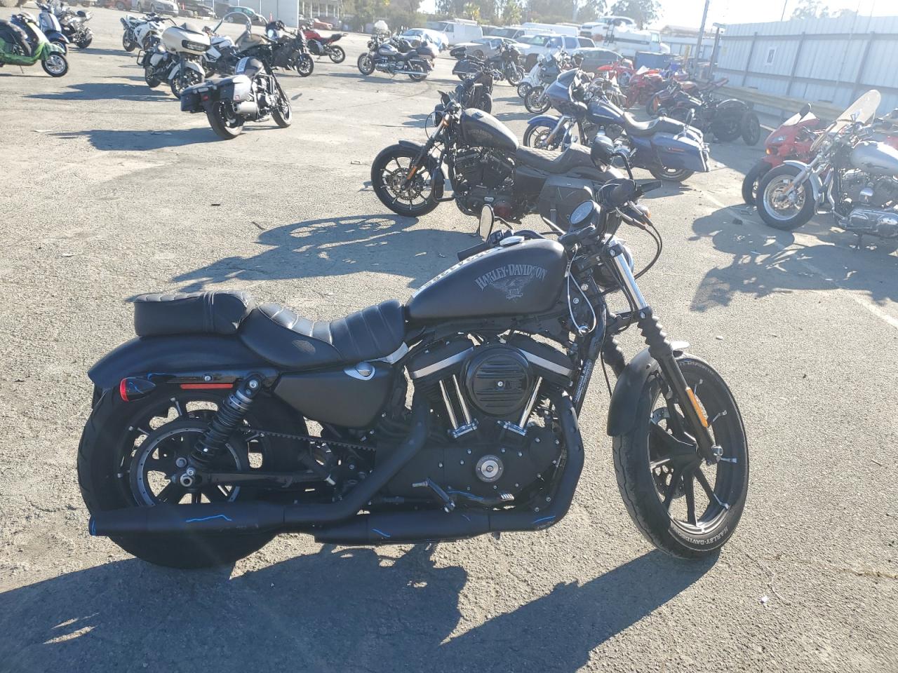  Salvage Harley-Davidson Xl883 N