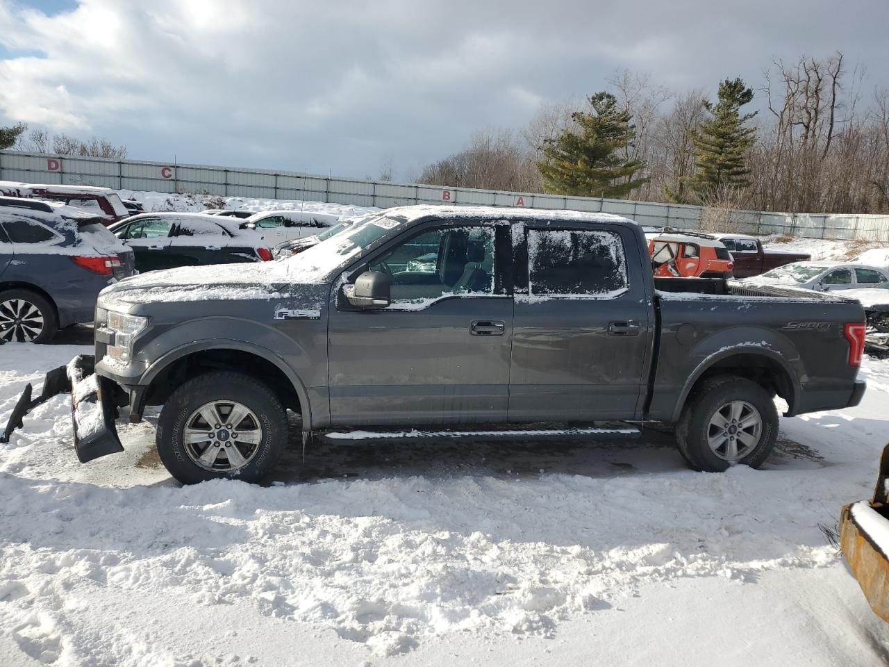  Salvage Ford F-150