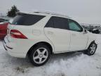 MERCEDES-BENZ ML 350 photo