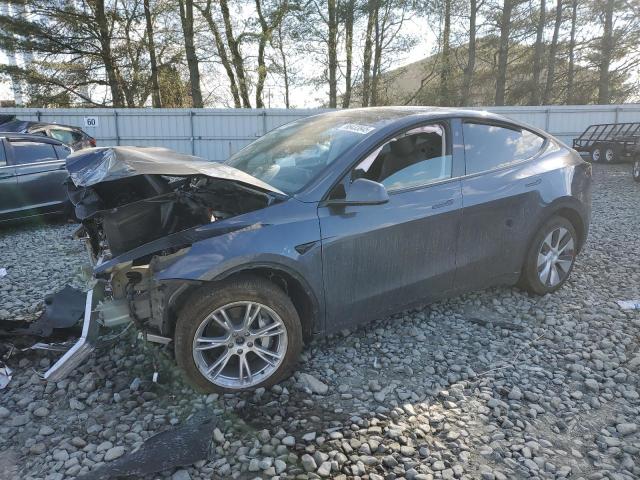 2023 TESLA MODEL Y - 7SAYGDEE8PF886156