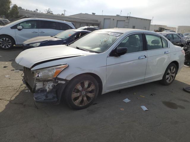 HONDA ACCORD EXL 2009 white sedan 4d gas 1HGCP36829A039205 photo #1