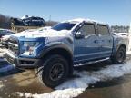 2019 FORD F150 RAPTO - 1FTFW1RG4KFA99730