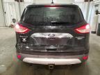 Lot #3050327901 2014 FORD ESCAPE TIT