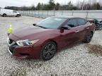 2016 NISSAN MAXIMA 3.5 - 1N4AA6AP7GC411152