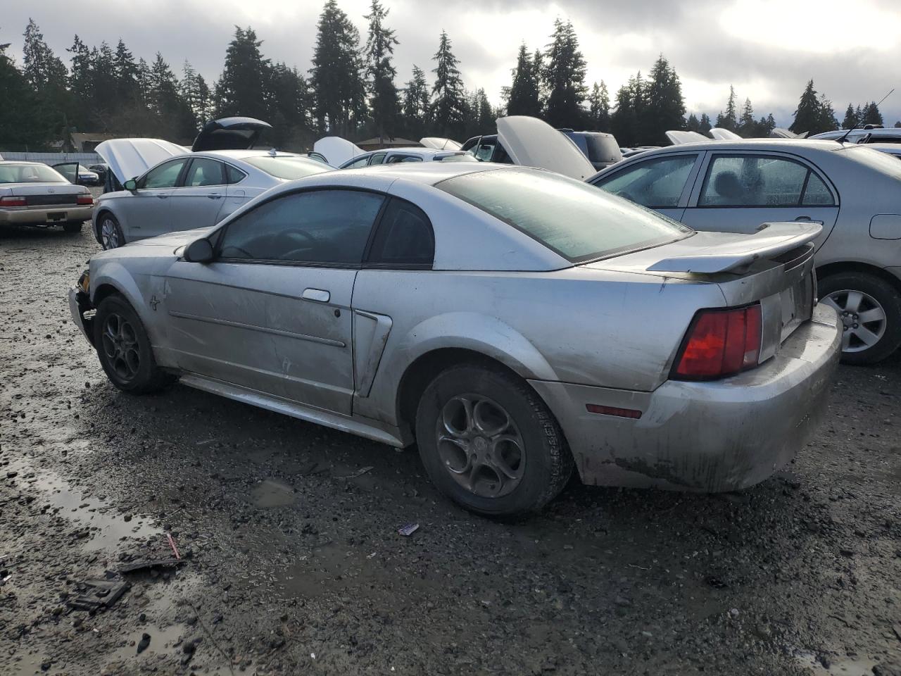 Lot #3052330612 2003 FORD MUSTANG