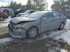2019 HYUNDAI SONATA SE - 5NPE24AF0KH740440