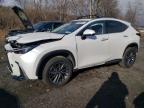 2024LEXUSNX350HBASE