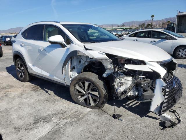 2019 LEXUS NX 300H JTJBJRBZ9K2110717