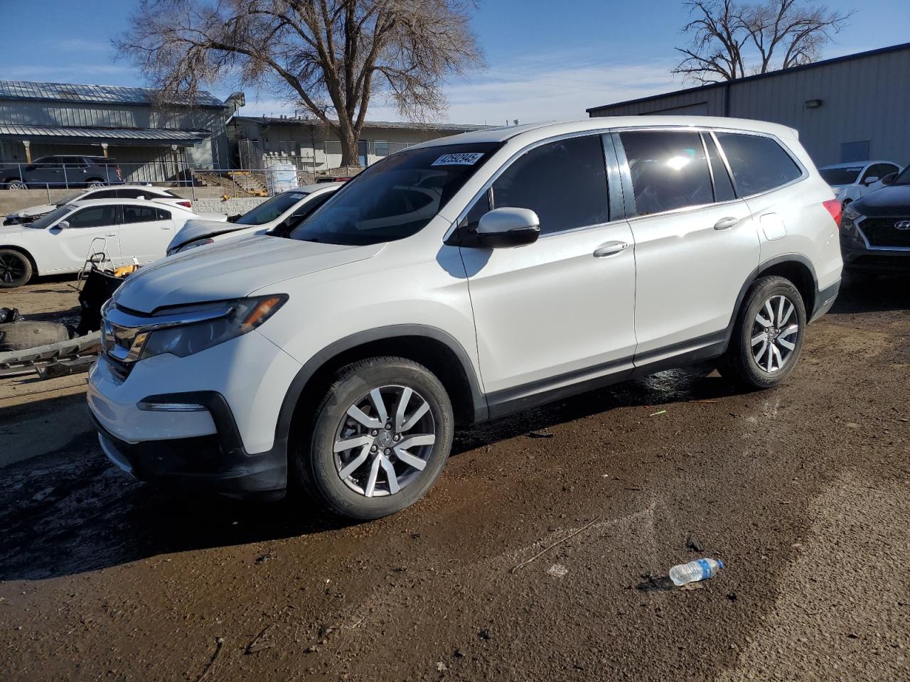 5FNYF5H56MB022039 HONDA PILOT EXL 2021