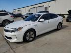 2017 KIA OPTIMA HYB - KNAGT4LE1H5009287